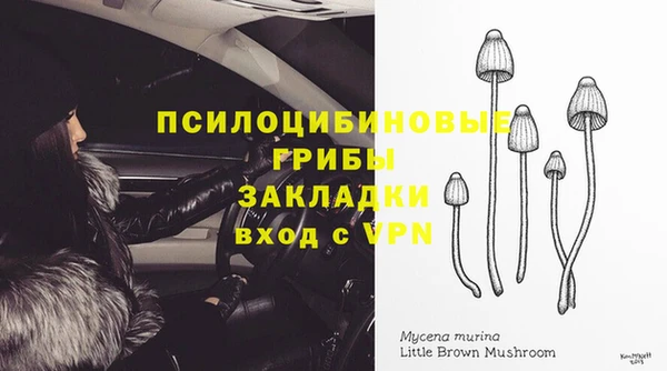 прущий лед Арсеньев
