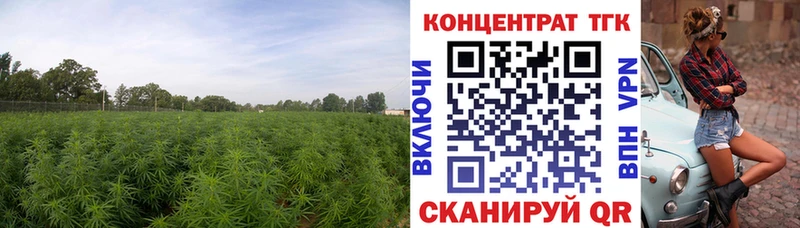 ТГК THC oil Каргат