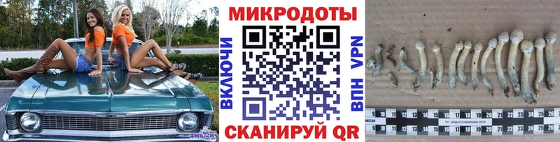 Галлюциногенные грибы прущие грибы  Каргат 